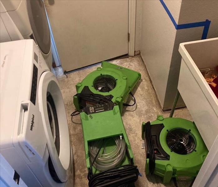 Green drying equipment in laundry room.