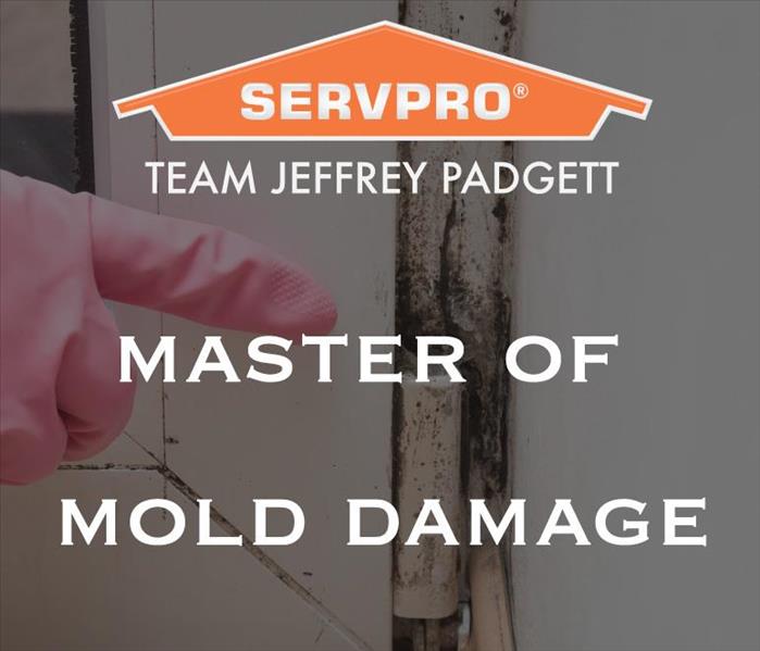 Hand pointing at mold with the text ¨Master of Mold Damage.¨