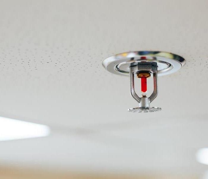 a fire sprinkler head on a ceiling