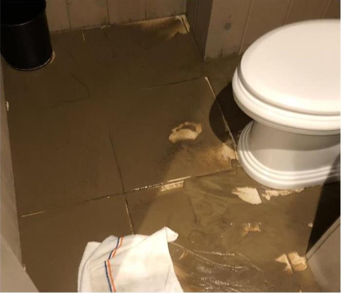 Bathroom floor with sewage water. Sewage backup