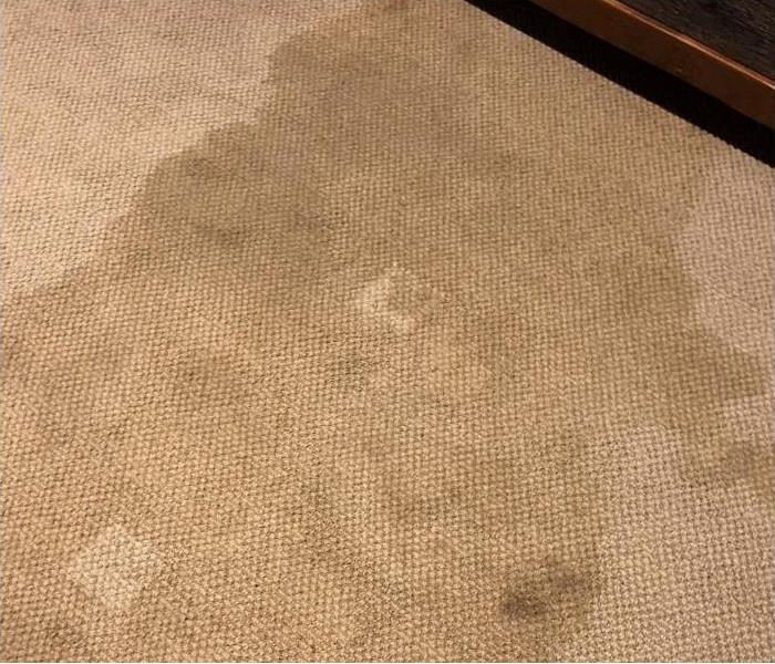 A wet carpet by water damage