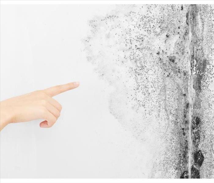 Hand pointing at a white wall that has black mold growth